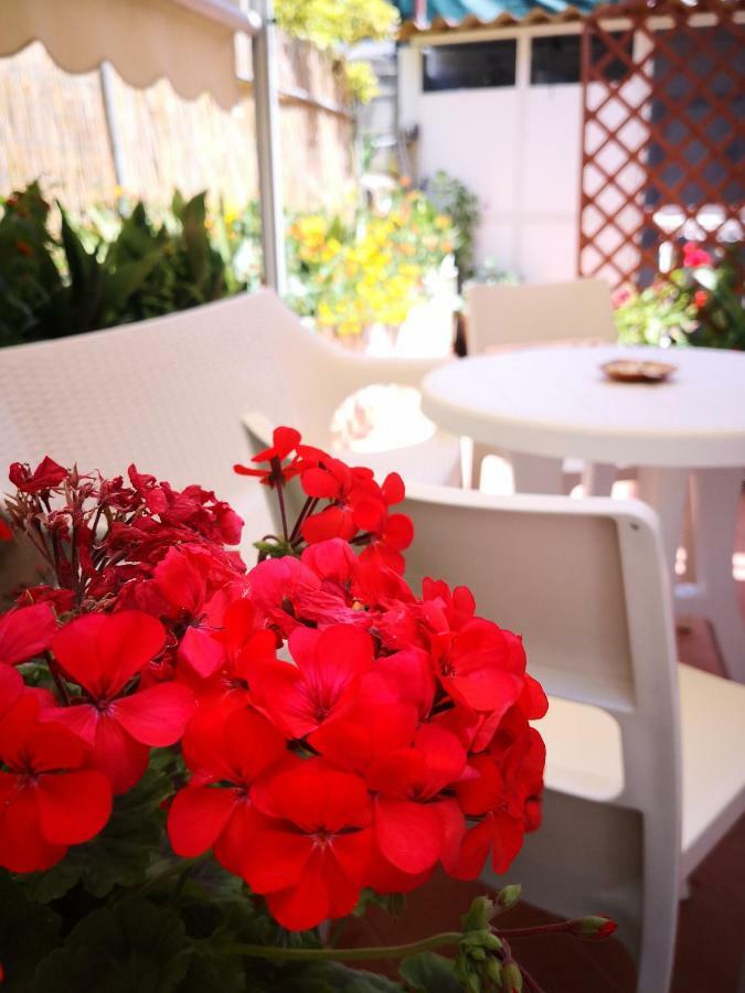 Le Sirene Castellabate Otel Santa Maria di Castellabate Dış mekan fotoğraf